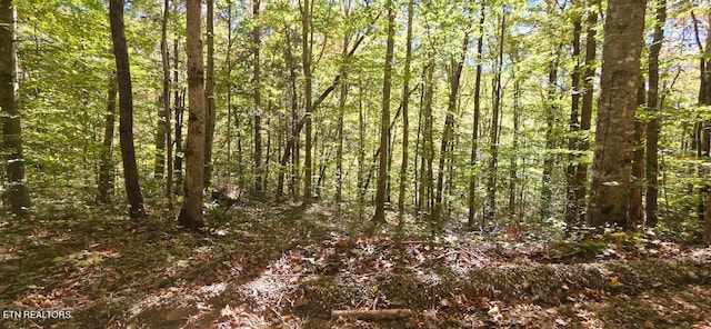 Lower Capuchin Dr, Winfield TN, 37892 land for sale