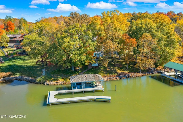 dock area featuring a water view