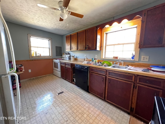 kitchen with dishwasher, sink, electric range, a textured ceiling, and ceiling fan