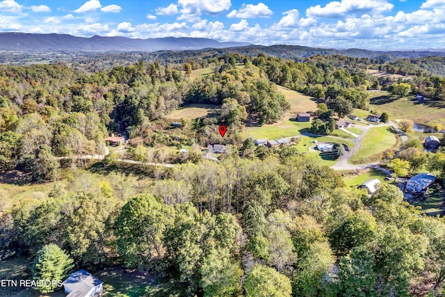 birds eye view of property featuring a mountain view