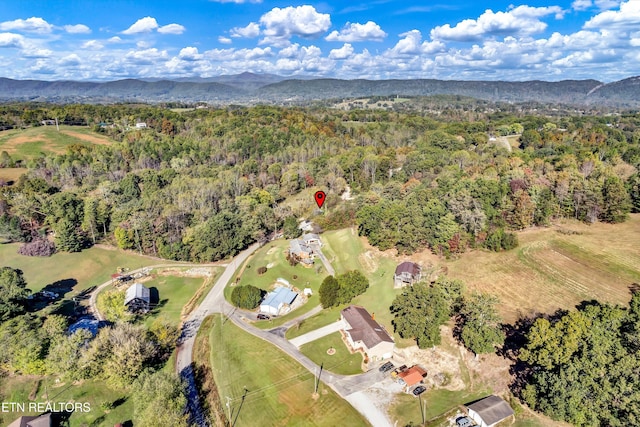 bird's eye view featuring a mountain view