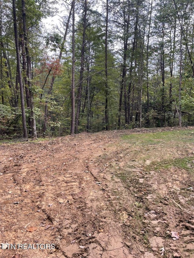 120 Maple Springs Rd, Tellico Plains, TN 37385 - photo 5