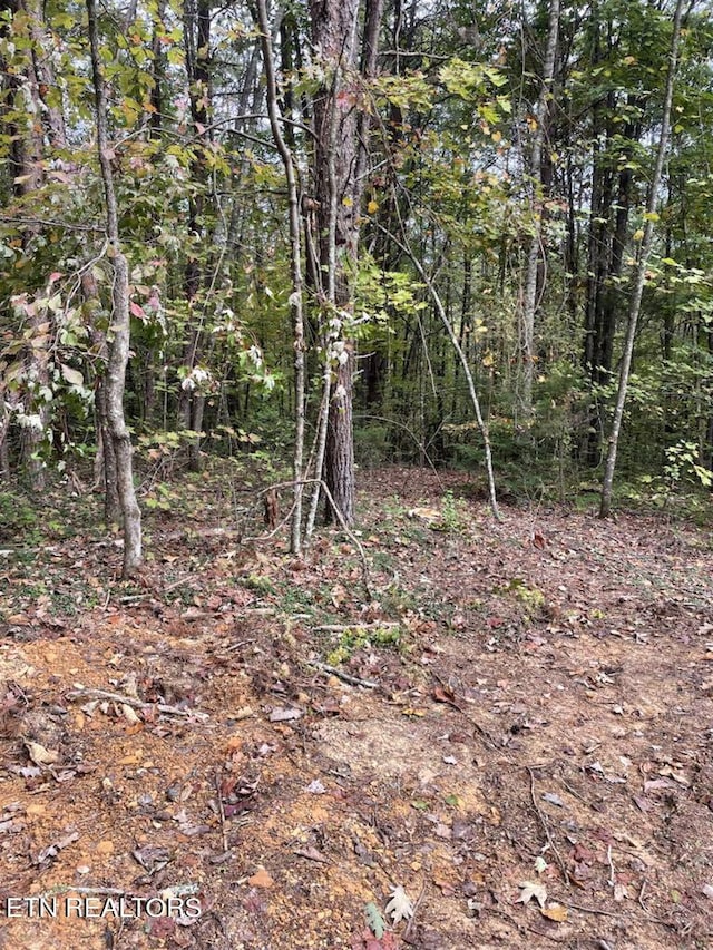 120 Maple Springs Rd, Tellico Plains, TN 37385 - photo 6
