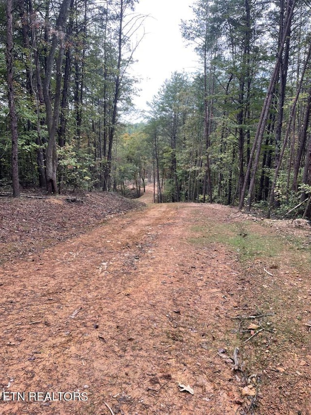 120 Maple Springs Rd, Tellico Plains, TN 37385 - photo 2