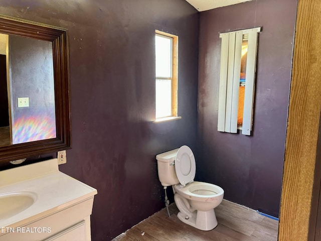 bathroom featuring vanity, hardwood / wood-style flooring, and toilet