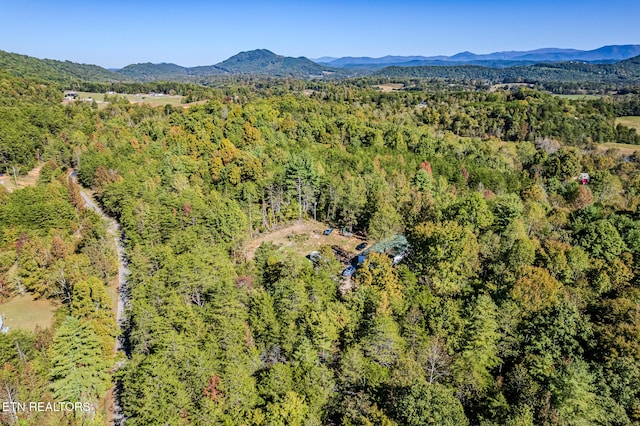 drone / aerial view featuring a mountain view