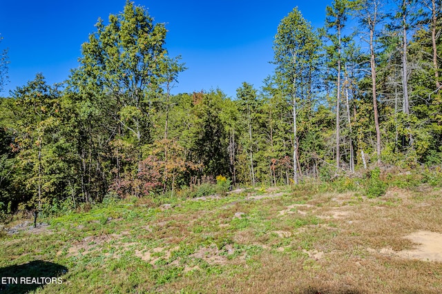 view of local wilderness