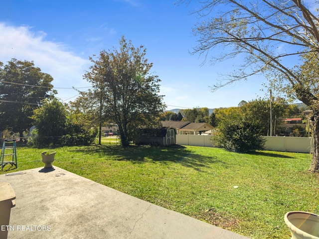 view of yard featuring a patio area