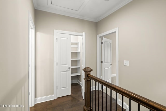 corridor featuring dark wood-type flooring and ornamental molding