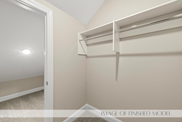 spacious closet with lofted ceiling and carpet floors