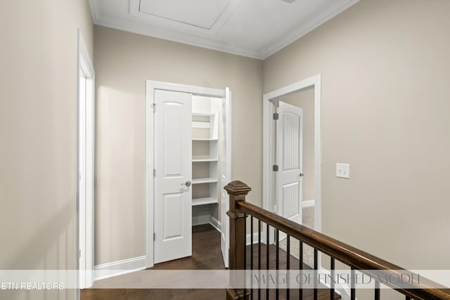 corridor with crown molding and dark hardwood / wood-style flooring