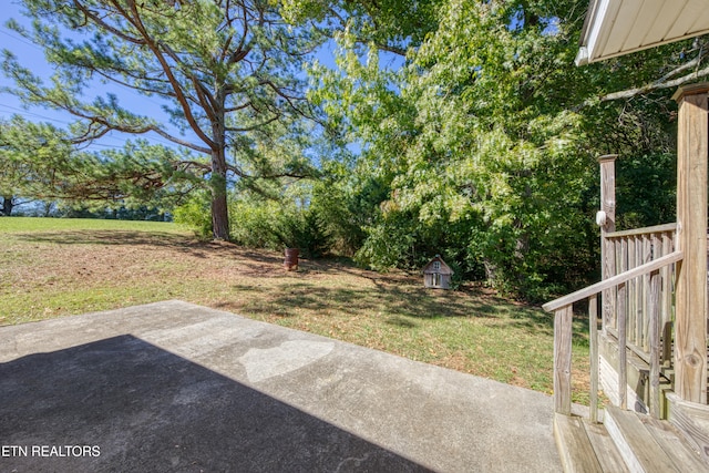 view of yard with a patio and a storage shed