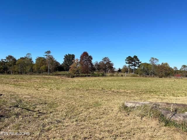 view of yard featuring a rural view