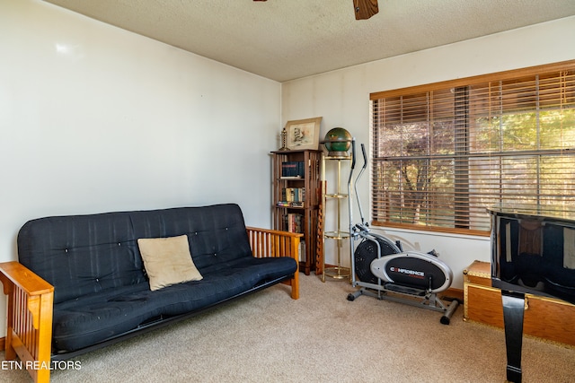 interior space featuring ceiling fan, carpet, and a textured ceiling