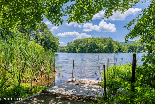 water view featuring a boat dock