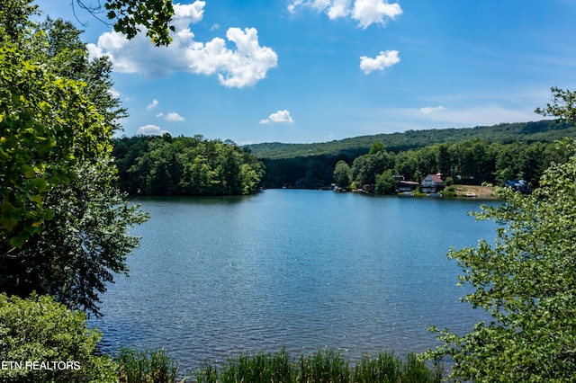 property view of water