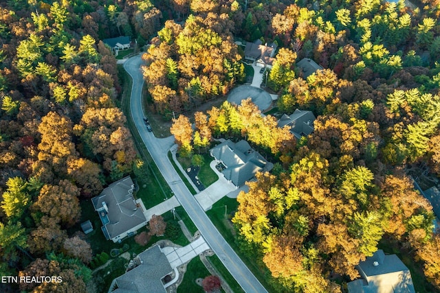 aerial view