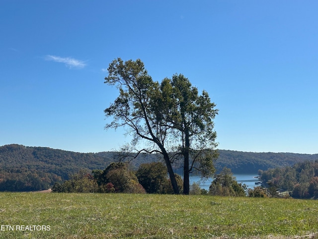 LOT41 Deer Trl, Lafollette TN, 37766 land for sale