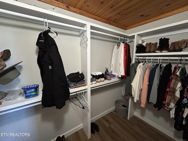 walk in closet with wood-type flooring