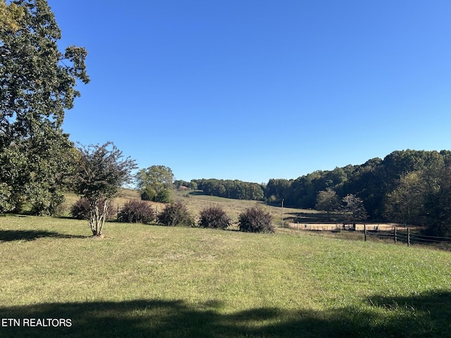 view of yard featuring a rural view