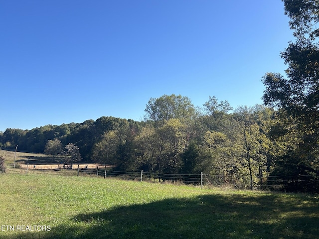 view of yard with a rural view