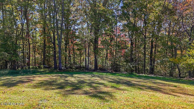 2732 Cherry Fork Rd, Helenwood, TN 37755 - view of yard featuring a forest view