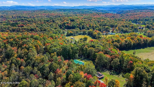 aerial view with a mountain view