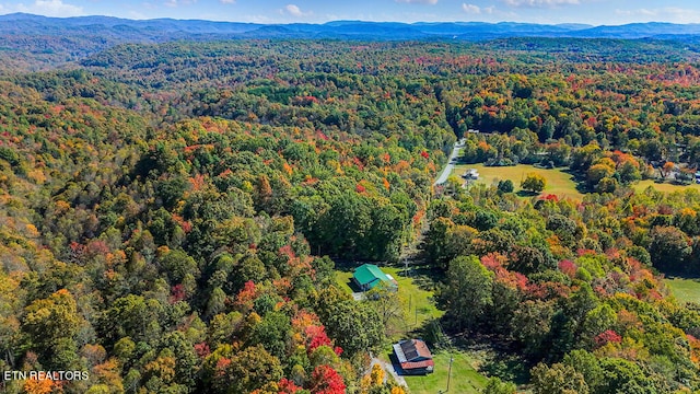 drone / aerial view featuring a mountain view