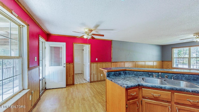 kitchen featuring sink, a textured ceiling, ceiling fan, wooden walls, and light hardwood / wood-style flooring