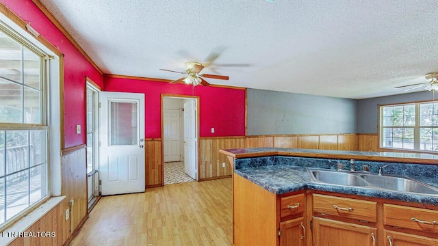 2732 Cherry Fork Rd, Helenwood, TN 37755 - kitchen with a wainscoted wall, a ceiling fan, a textured ceiling, and light wood-type flooring