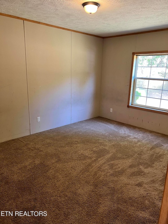 carpeted spare room featuring crown molding and a textured ceiling