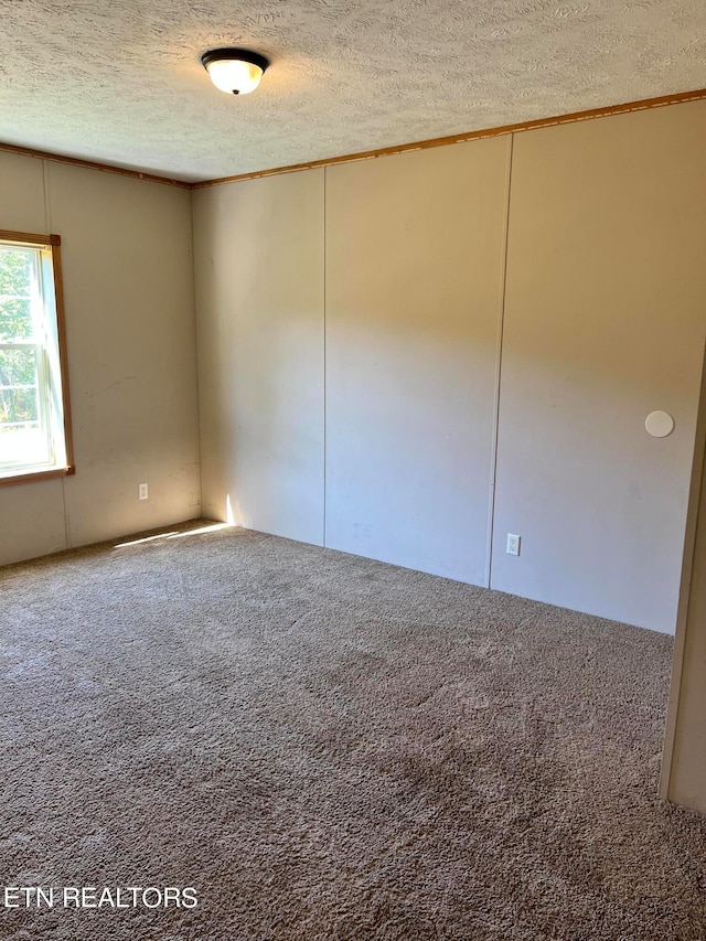 spare room with carpet flooring and a textured ceiling