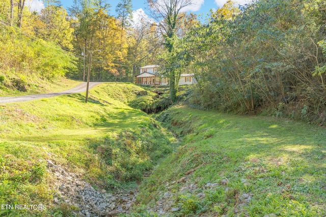 8803 Pedigo Rd, Powell, TN 37849 - photo 41