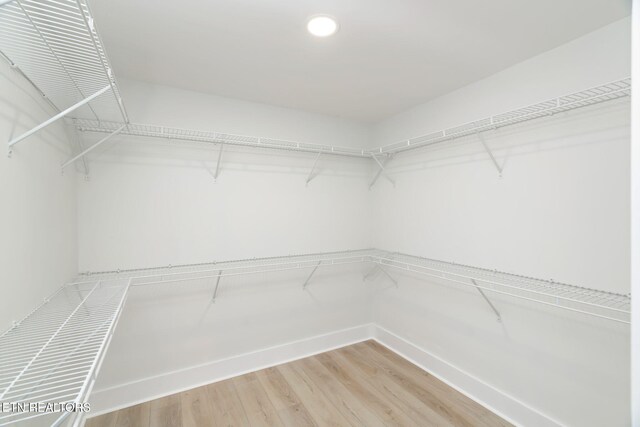 8803 Pedigo Rd, Powell, TN 37849 - photo 19