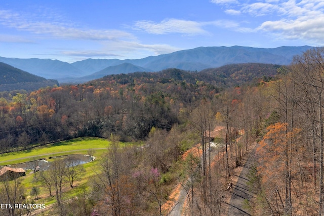 Running Bear Rd, Cosby TN, 37722 land for sale