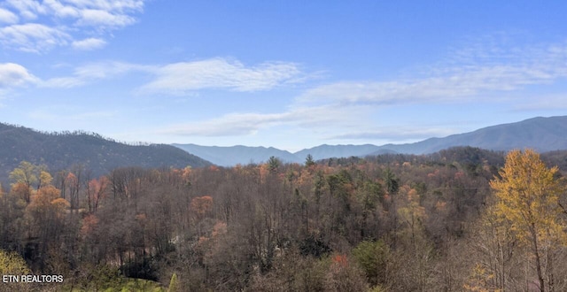 Listing photo 3 for Running Bear Rd, Cosby TN 37722