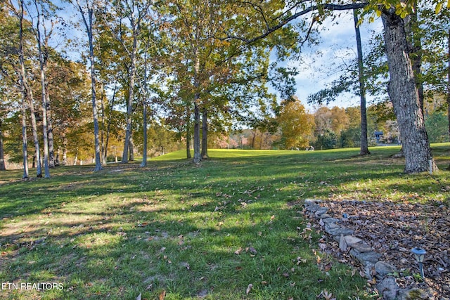 207 Snead Dr, Crossville, TN 38558 - photo 37