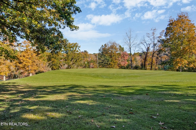 view of property's community featuring a lawn