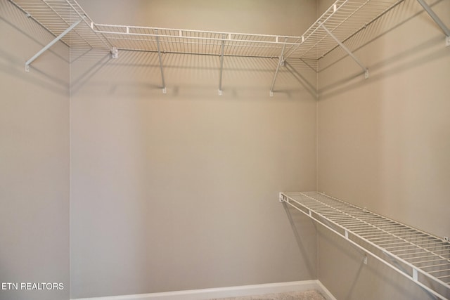 view of spacious closet