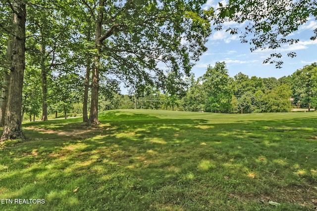 207 Snead Dr, Crossville, TN 38558 - photo 48