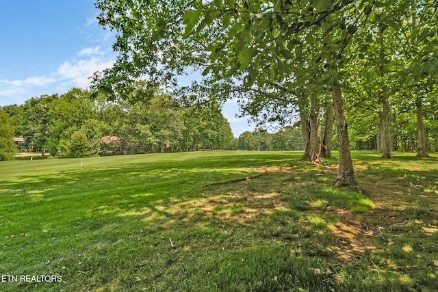 207 Snead Dr, Crossville, TN 38558 - photo 49