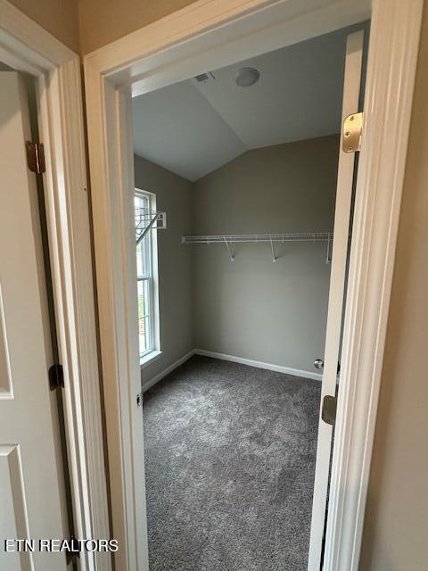 spacious closet with carpet and vaulted ceiling