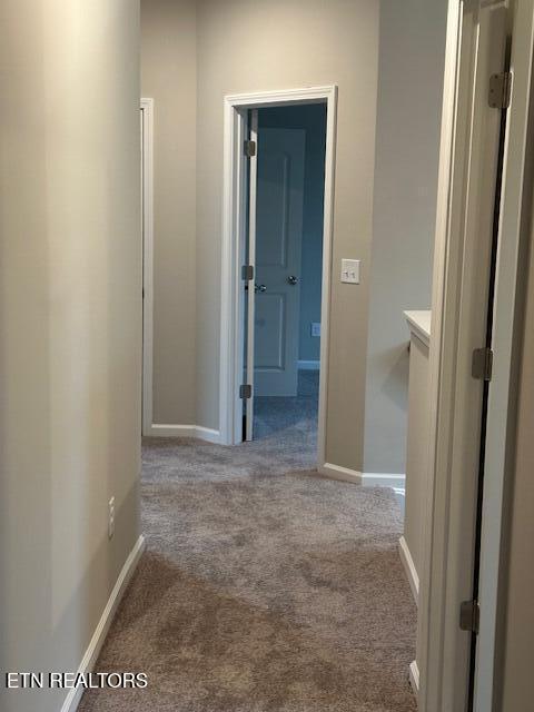 corridor with carpet and baseboards