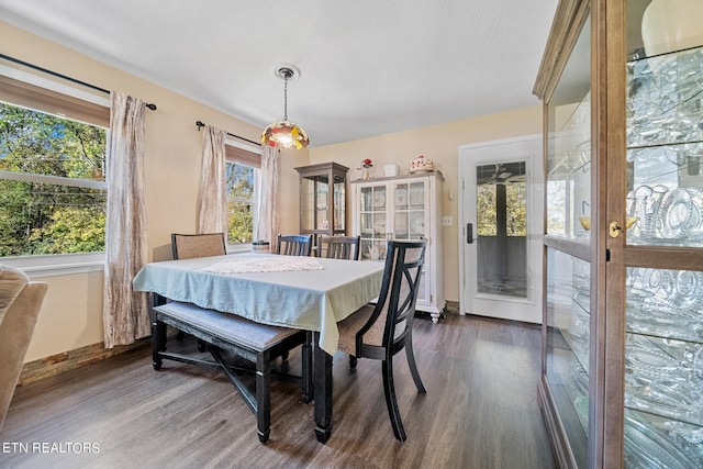 dining room featuring dark wood-style flooring and baseboards