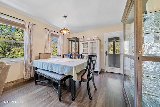 1440 Hicks Rd, Jefferson City, TN 37760 - dining area with dark wood-style floors and baseboards