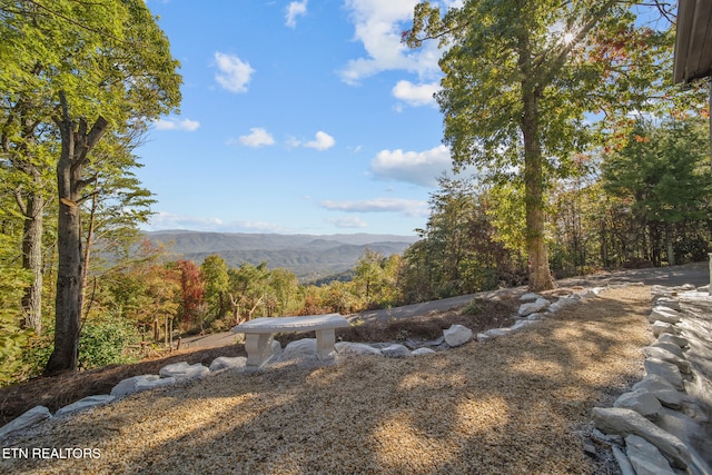 view of yard with a mountain view