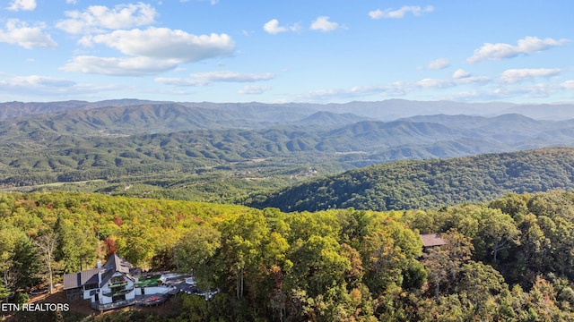 property view of mountains