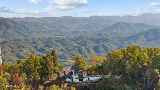 view of mountain feature