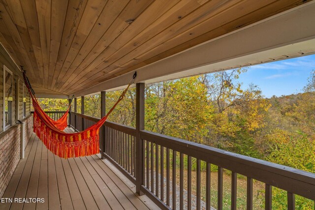 669 Red Bud Ln, Sevierville, TN 37876 - photo 30