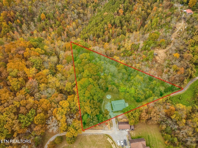 669 Red Bud Ln, Sevierville, TN 37876 - photo 4